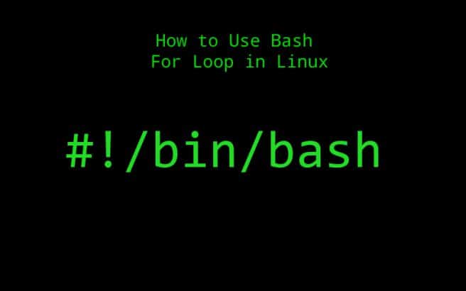 How to Use Bash For Loop in Linux