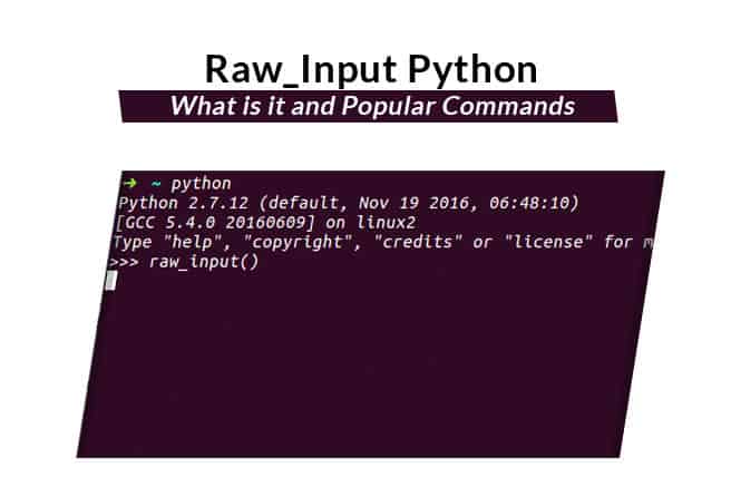 Raw_Input Python - What is it and Popular Commands
