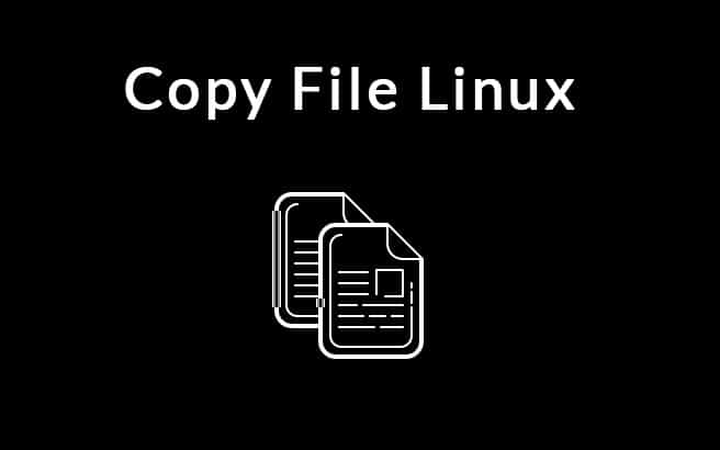 copy file in linux using cp or rsync commands