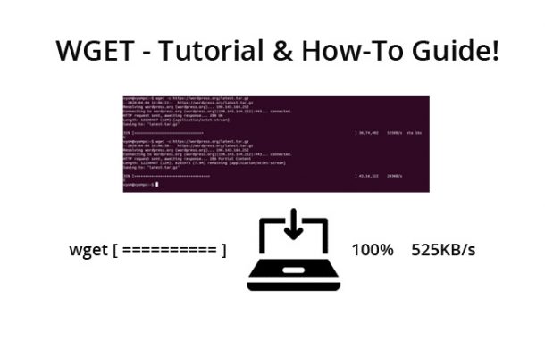 wget tutorial and howto guide syntax